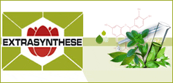 EXTRASYNTHESE