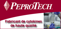 CIBLAGE ET PERFORMANCE
