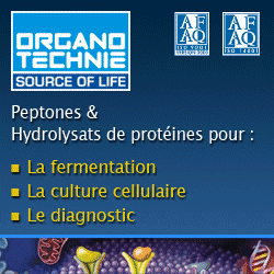 ORGANOTECHNIE SAS
