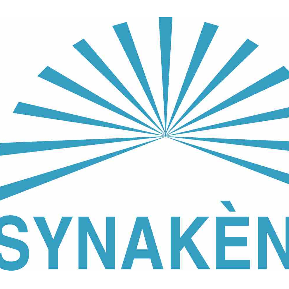 Logo SYNAKENE