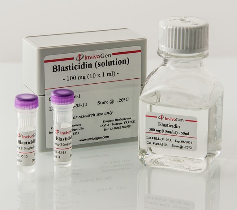  Blasticidin