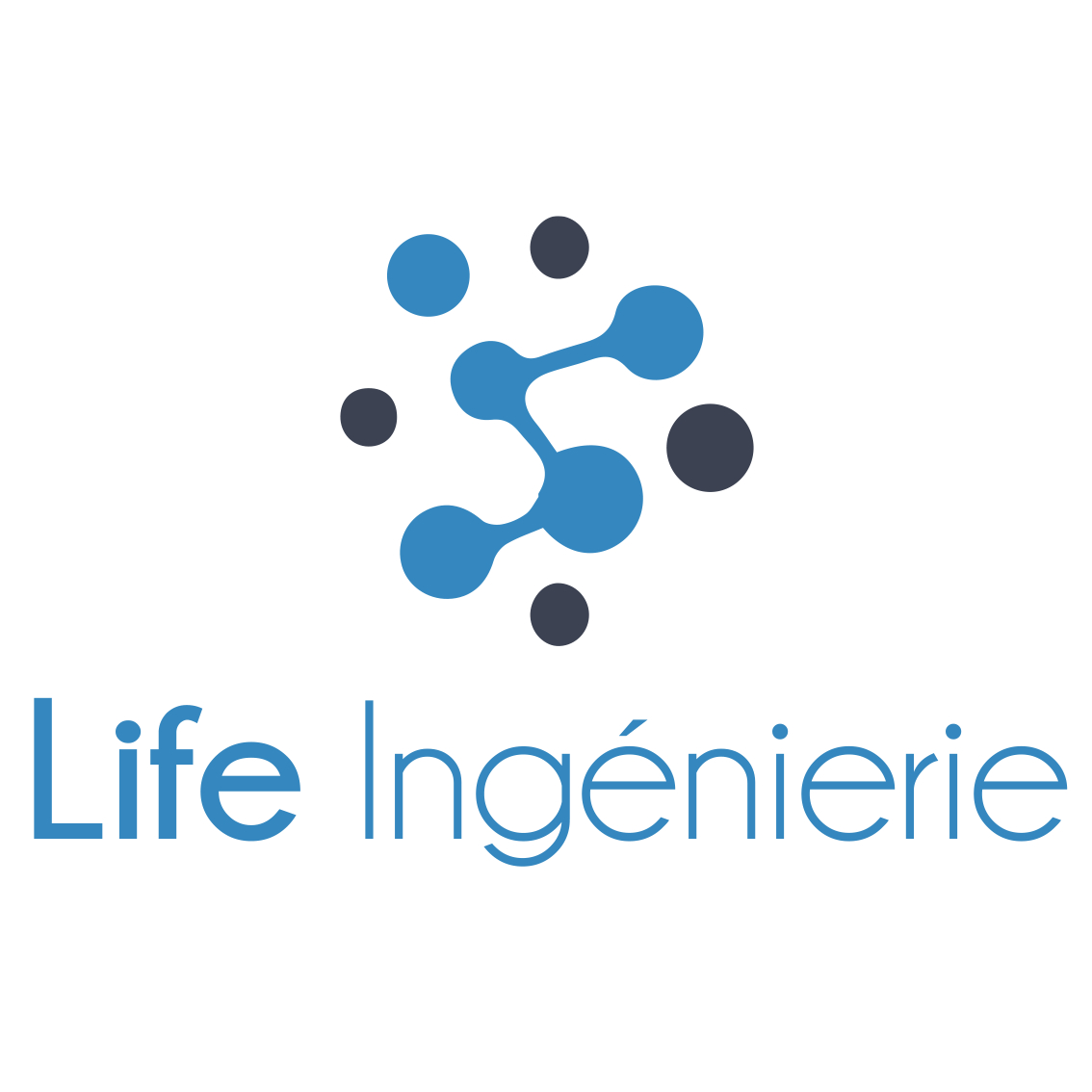 Logo LIFE INGéNIERIE